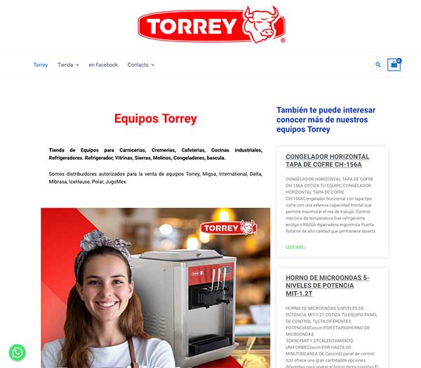 creacion de paginas web ecommerce